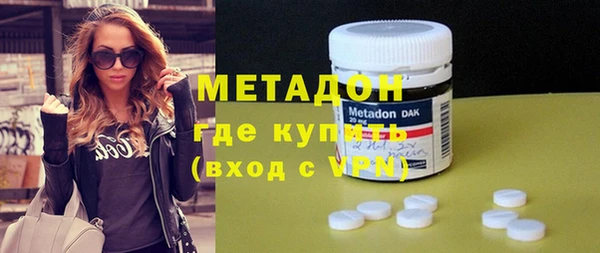 прущие грибы Нея