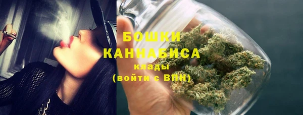 прущие грибы Нея