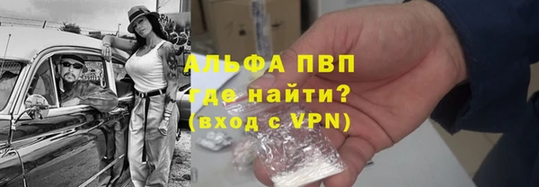прущие грибы Нея