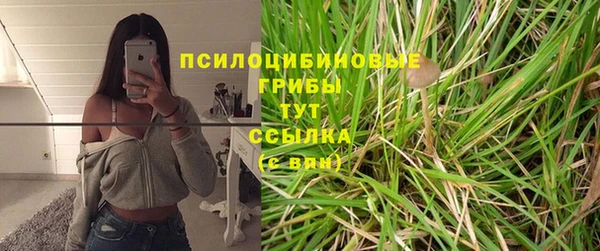 apvp Нефтекумск