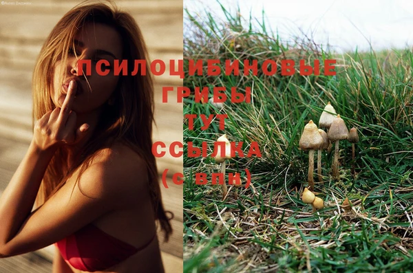 apvp Нефтекумск