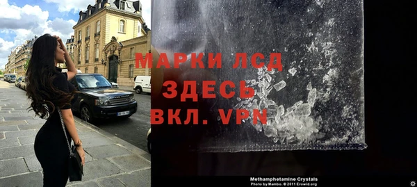 прущие грибы Нея