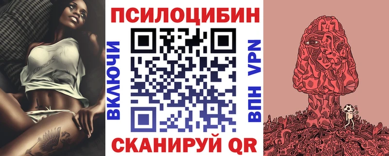 Псилоцибиновые грибы ЛСД  omg ONION  Черногорск 